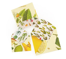 Load image into Gallery viewer, Fruit box set