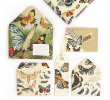 Load image into Gallery viewer, Butterfly box set