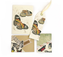 Load image into Gallery viewer, Butterfly box set