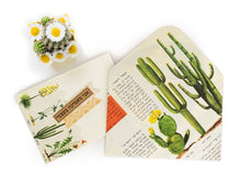 Load image into Gallery viewer, Cactus