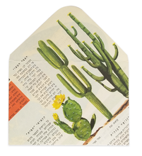 Load image into Gallery viewer, Cactus