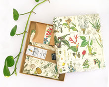 Load image into Gallery viewer, Plants box set