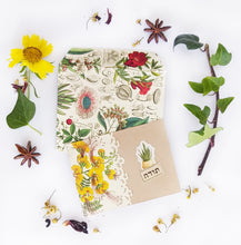 Load image into Gallery viewer, Plants small Box Set