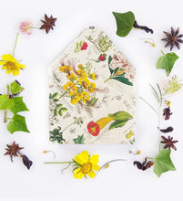 Load image into Gallery viewer, Plants