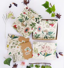 Load image into Gallery viewer, Plants small Box Set