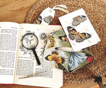 Load image into Gallery viewer, Butterfly box set