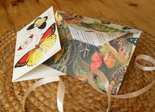 Load image into Gallery viewer, Butterfly box set
