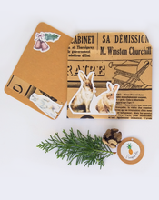 Load image into Gallery viewer, Small envelope & card - Fox