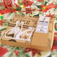 Load image into Gallery viewer, Box Set - Rabbits