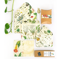 Load image into Gallery viewer, Plants box set