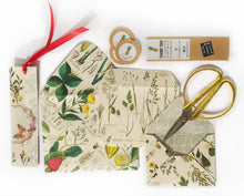 Load image into Gallery viewer, Plants box set 2