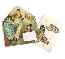 Load image into Gallery viewer, Butterfly box set
