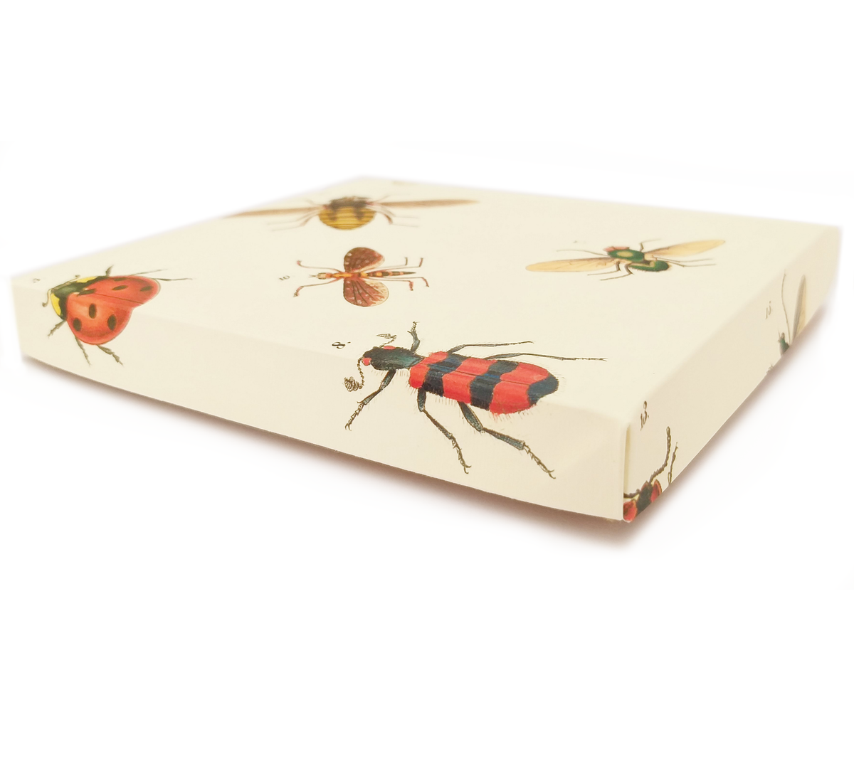 Bugs box set – Pineapplearti